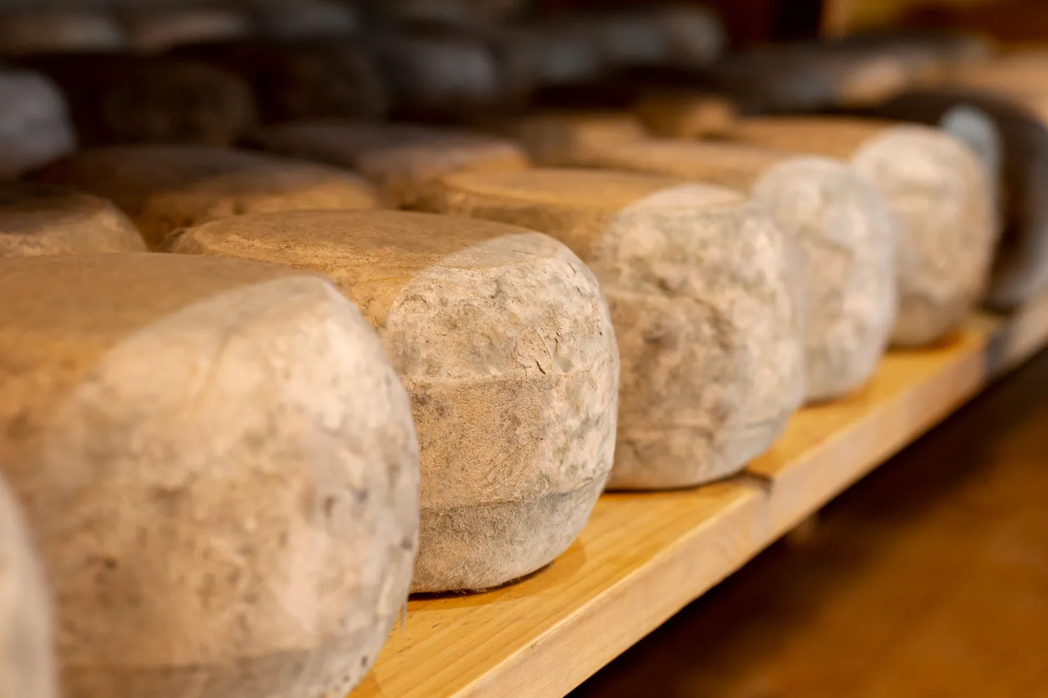 Descubre los mejores quesos artesanales de Tejeda